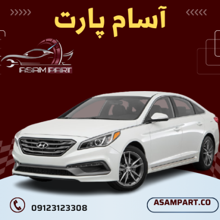 سیلندر استوک جنسیس